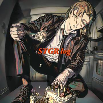STGR log①