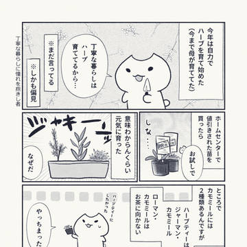 日常のあれこれ話