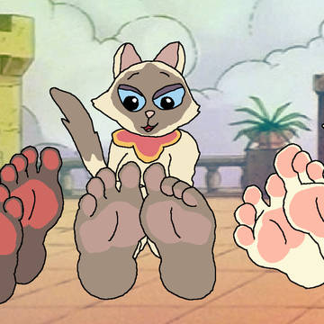 Chinese Siamese Paws