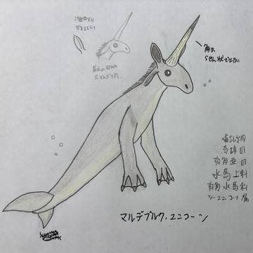 マクデブルク・ユニコーン