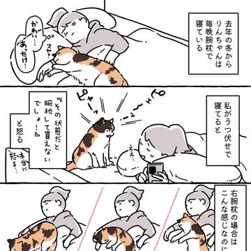 久々の実録ねこマンガ