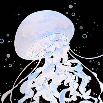 クラゲ⦿．゜