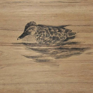 鴨　水墨