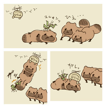 ゼッタイユルサナイカマキリ②