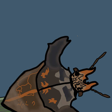オーストラリアの珍奇カメムシ　