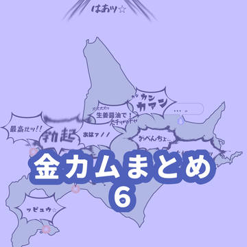 金カムまとめ6