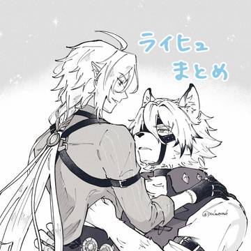 ライヒュまとめ