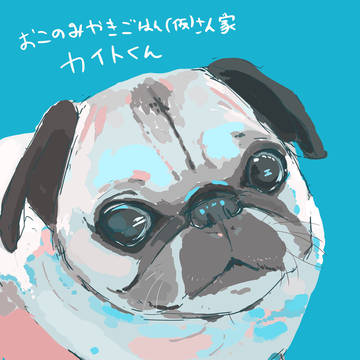 おこのみやきごはん(仮)さん家のカイトくん🐶