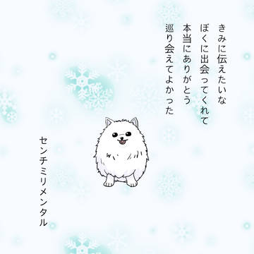 ギヴン 毛玉 最終回お疲れ様でした。
