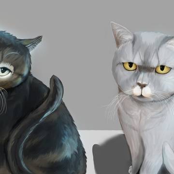My cats