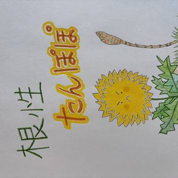 根性たんぽぽ