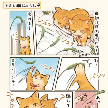 キミと猫じゃらし🐈
