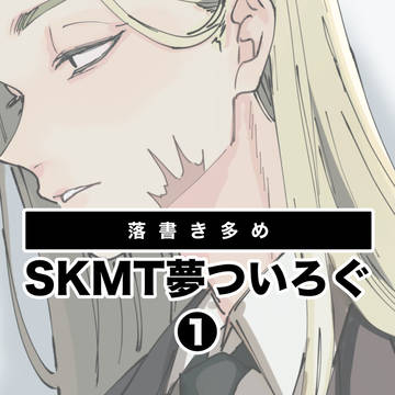 skmtついろぐ1