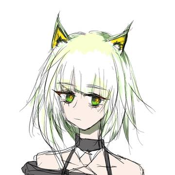 凯猫