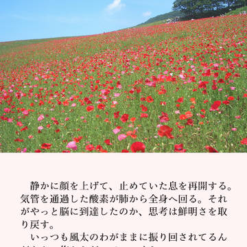 ふうあお 画像SSログ