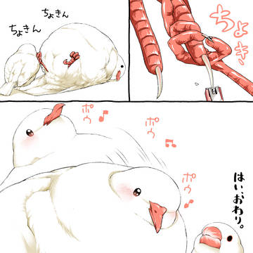解放