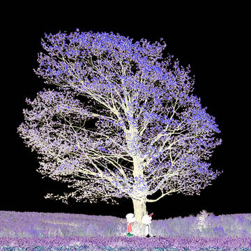 Trees