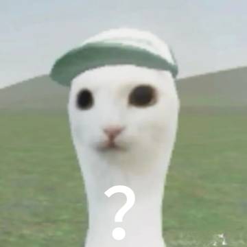 其实是耄耋