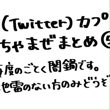 カプごちゃ混ぜまとめ⑤