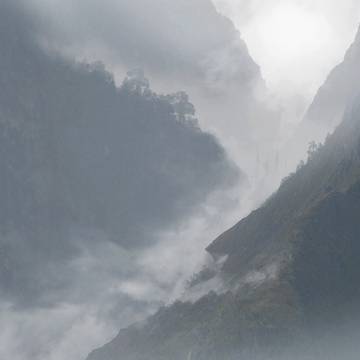 fog