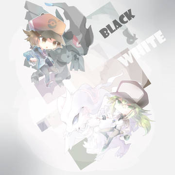 [pokemon] black&white