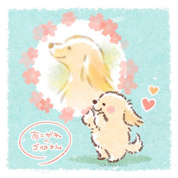 でんちゃん、理想と現実