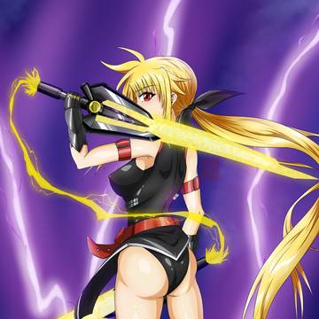 Fate True Sonic Form