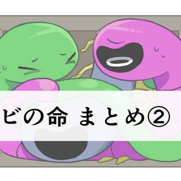 🐍まとめ②