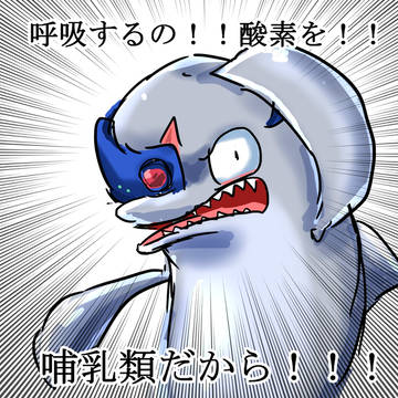 シオフキーまとめ