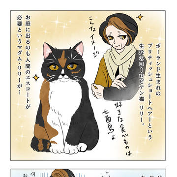 マダム・リリーの来日日記