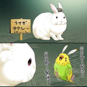 うさぎタクシー