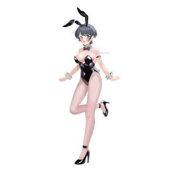 Ruka Sarashina Bunny