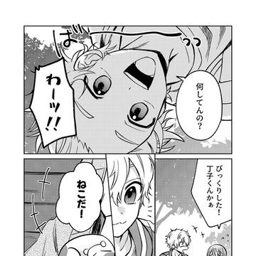 【WB夢】ねこまみれ