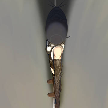 レゼ