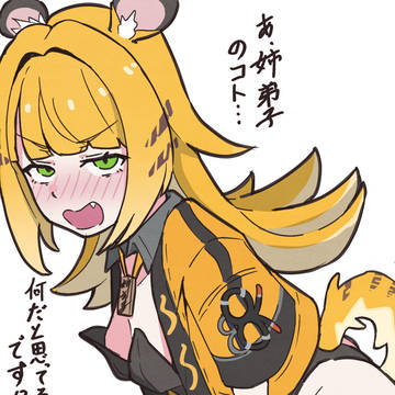 大姉弟子詰め合わせセット
