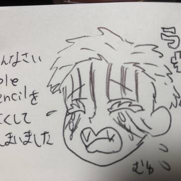 なくしてしまいました