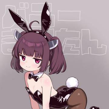 バニーきりたんシリーズ