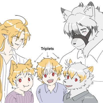 TRIPLES