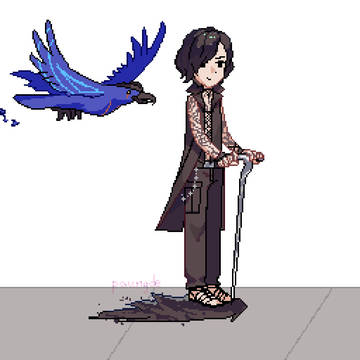 shadow滑板車