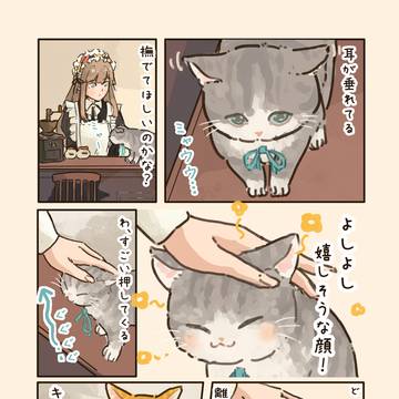 撫でて🐈