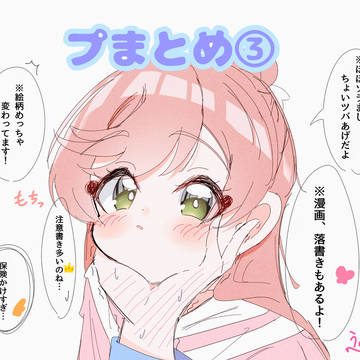 プまとめ③