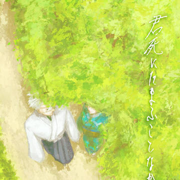 夢小説 表紙