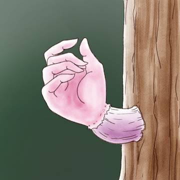 テコキノコ