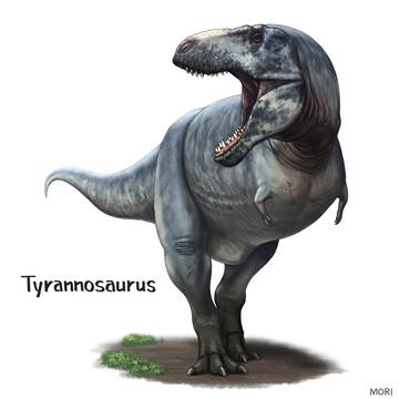 ティラノサウルス