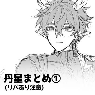 星丹星まとめ①