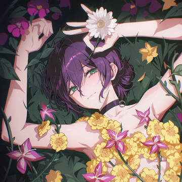 IRIS OUT