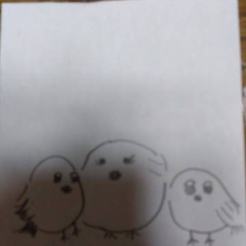 シマエナガ親子