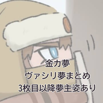vsr夢まとめ
