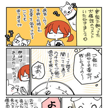 偉い・・・のか?