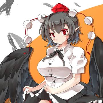 たくしあげ文様